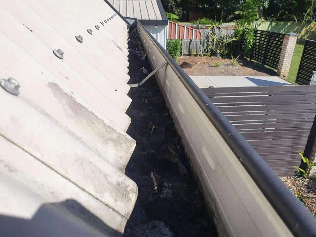 Gutter Cleaning