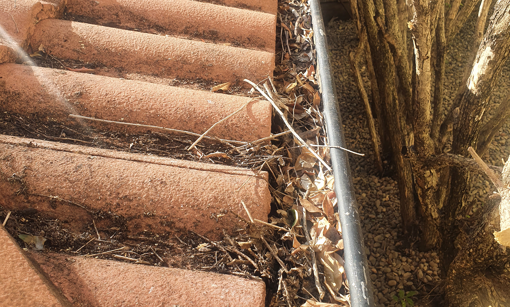 Before Gutter Cleaning