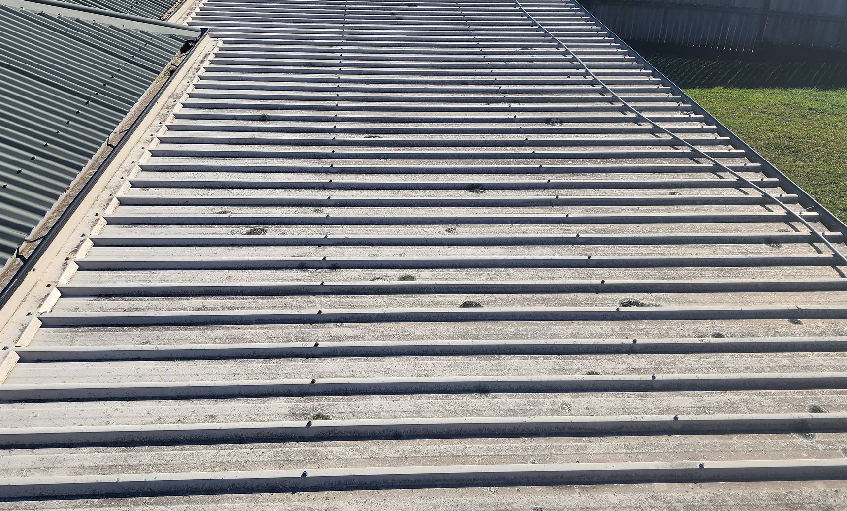 Roof Before Cleaning