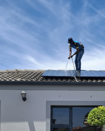 Professional Roof Cleaning